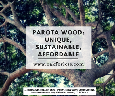 Parota Wood: Unique, Sustainable, Affordable